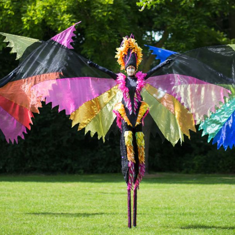 Paradijsvogels