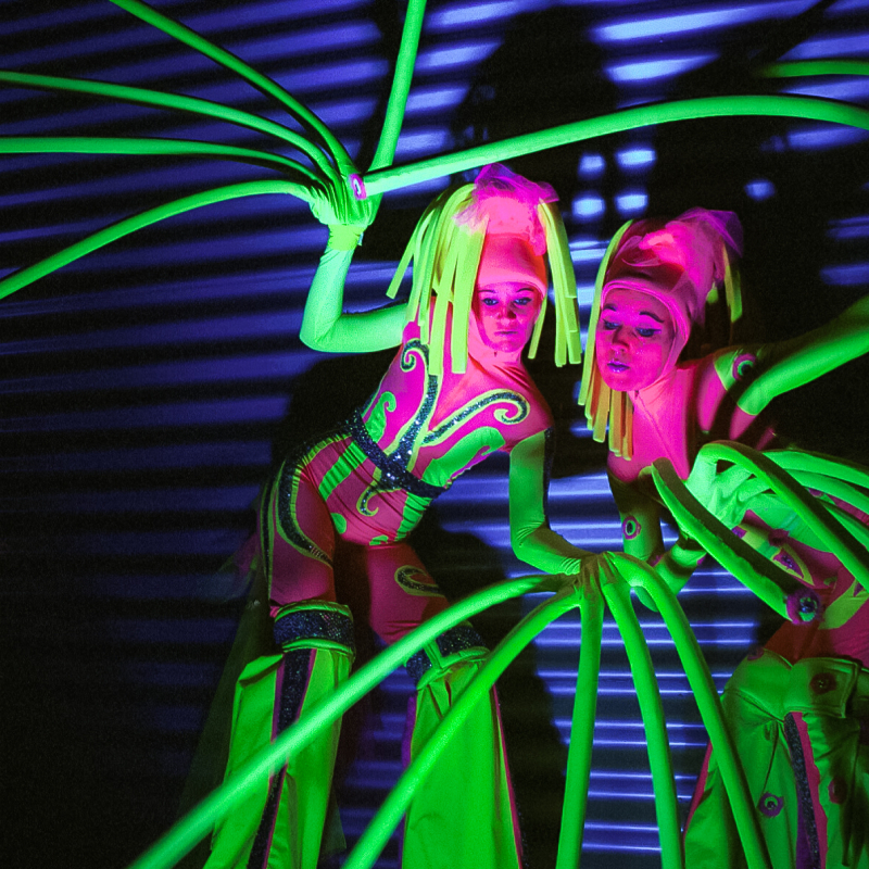 Steltenact Fluor Fantastic