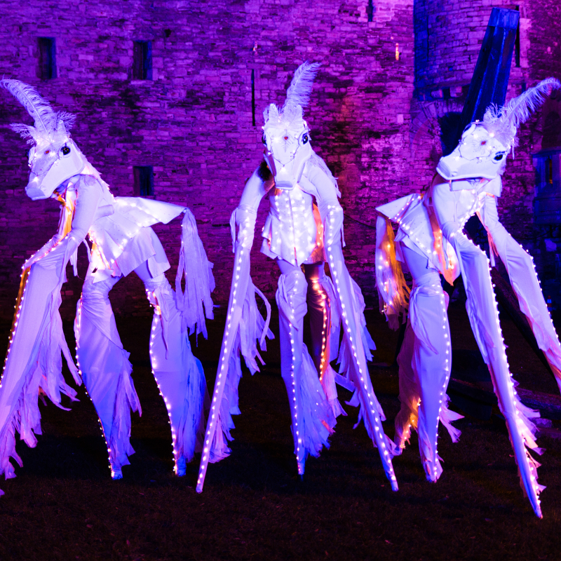White Magic Horses