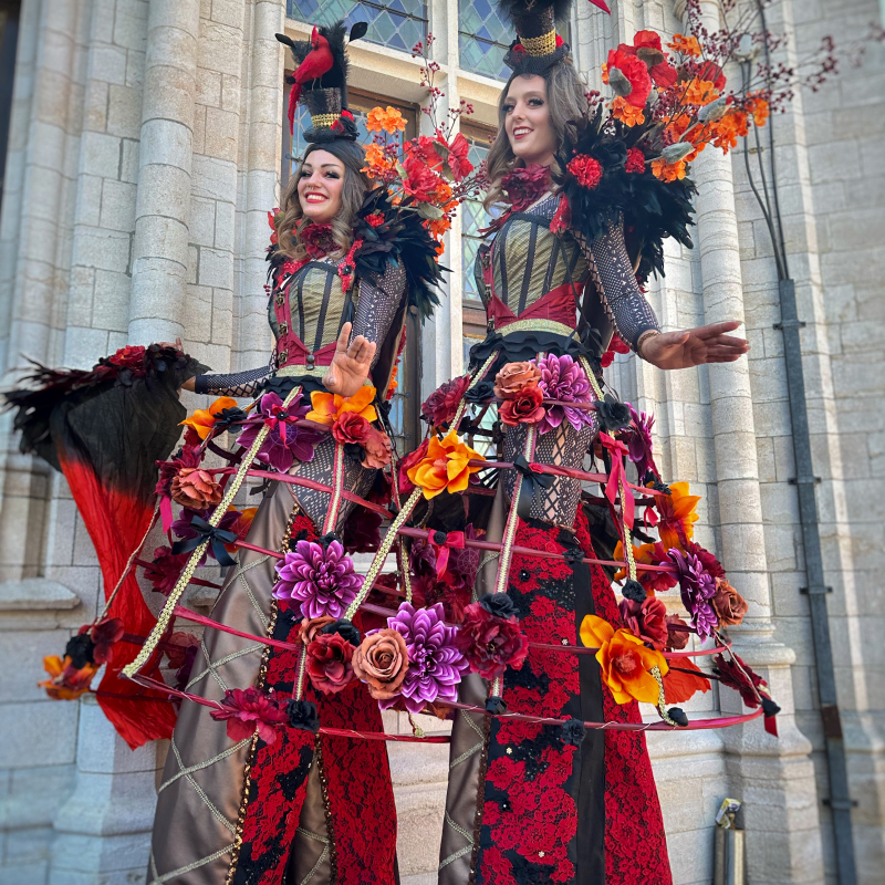 Steltenact Cirque Du Chic