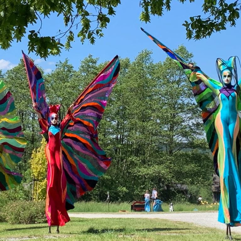 Steltenact Colors