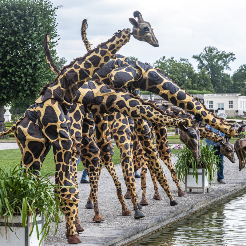 Steltenact Giraffe