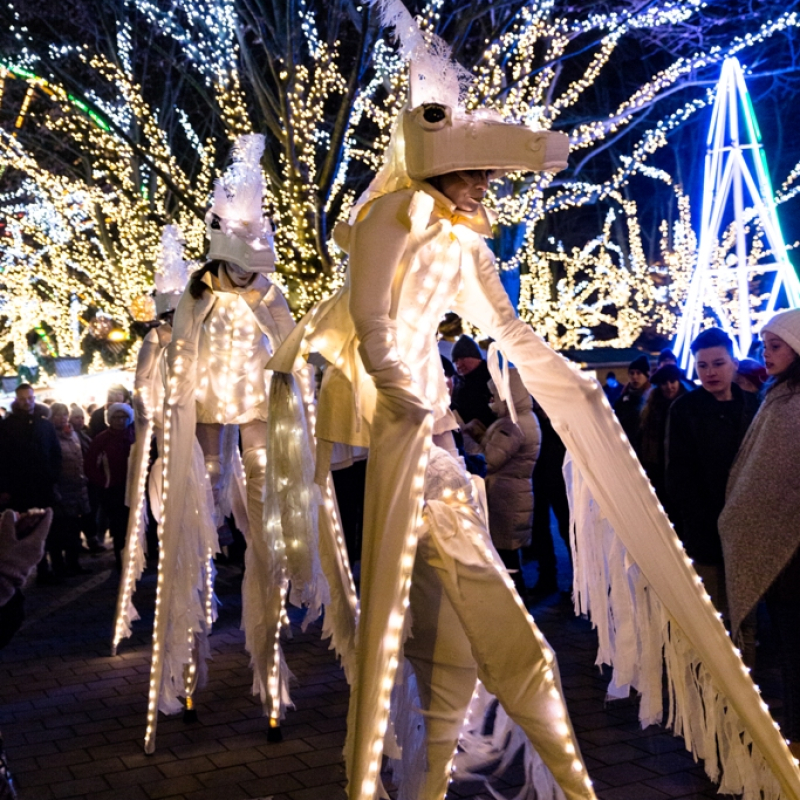 White Magic Horses