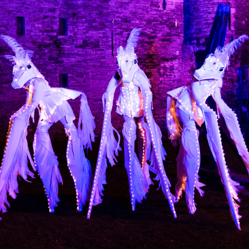 White Magic Horses