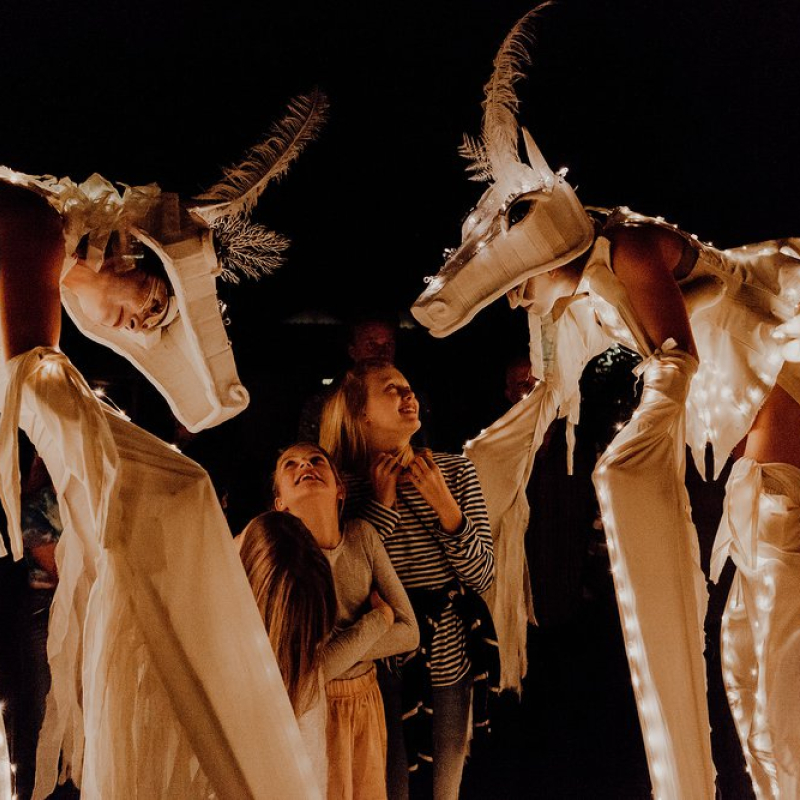 White Magic Horses