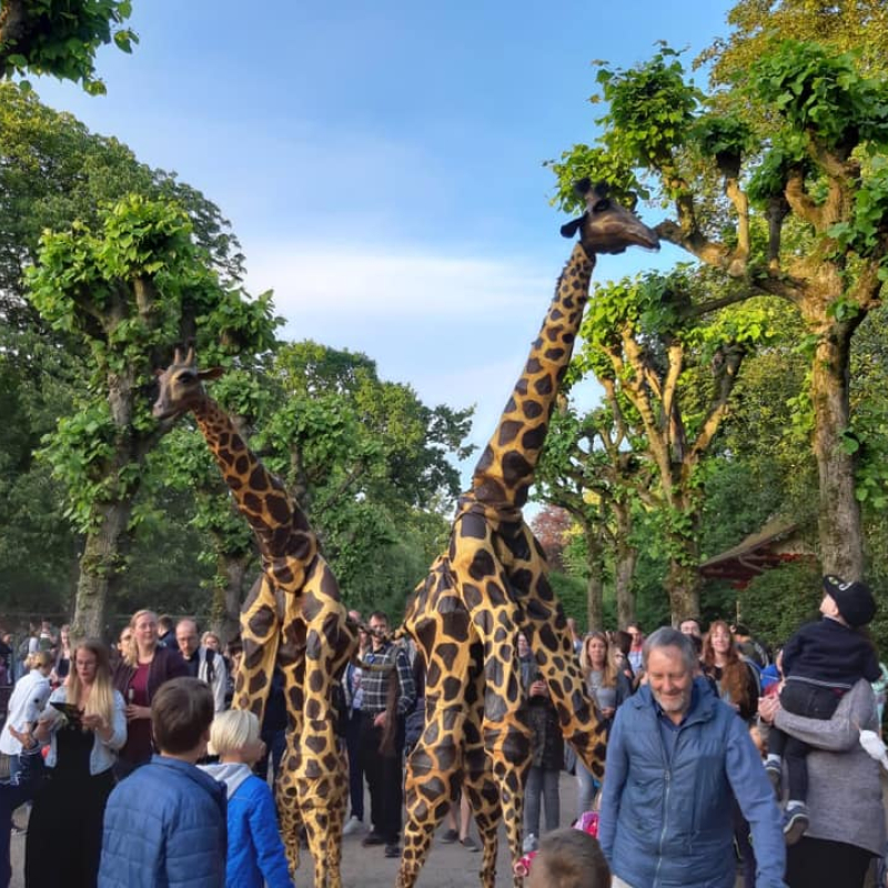 Steltenact Giraffe