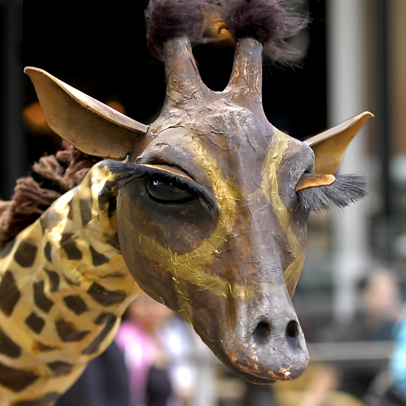 Steltenact Giraffe