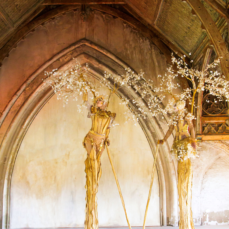 Steltenact Arbres D'Or