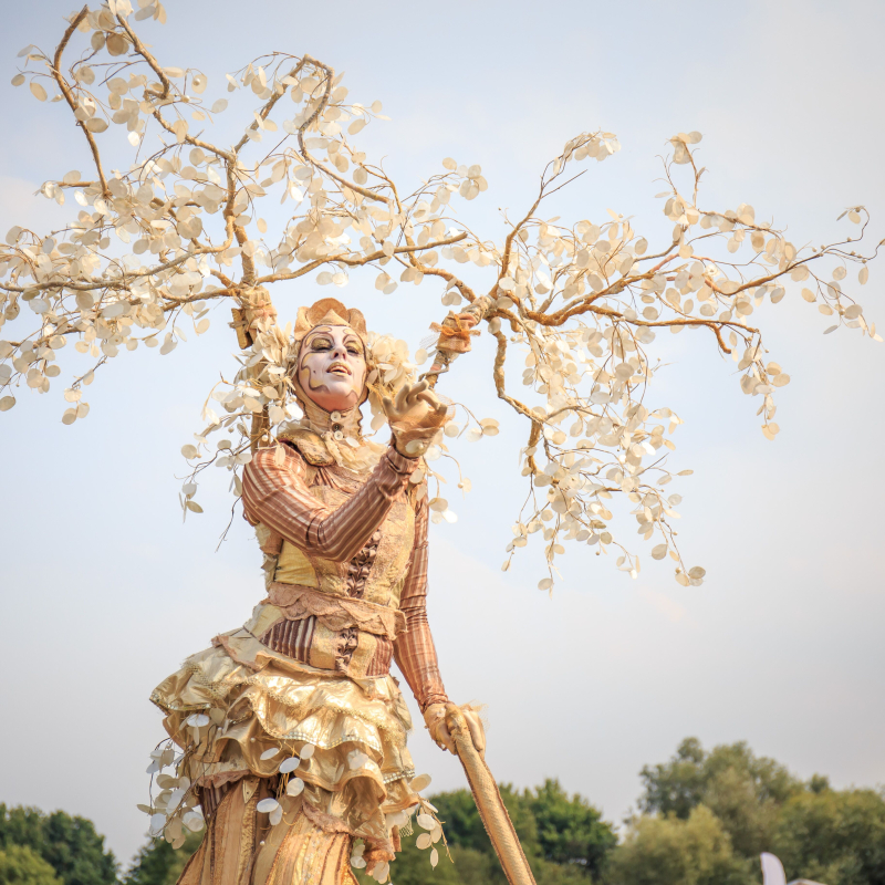 Arbres D'Or