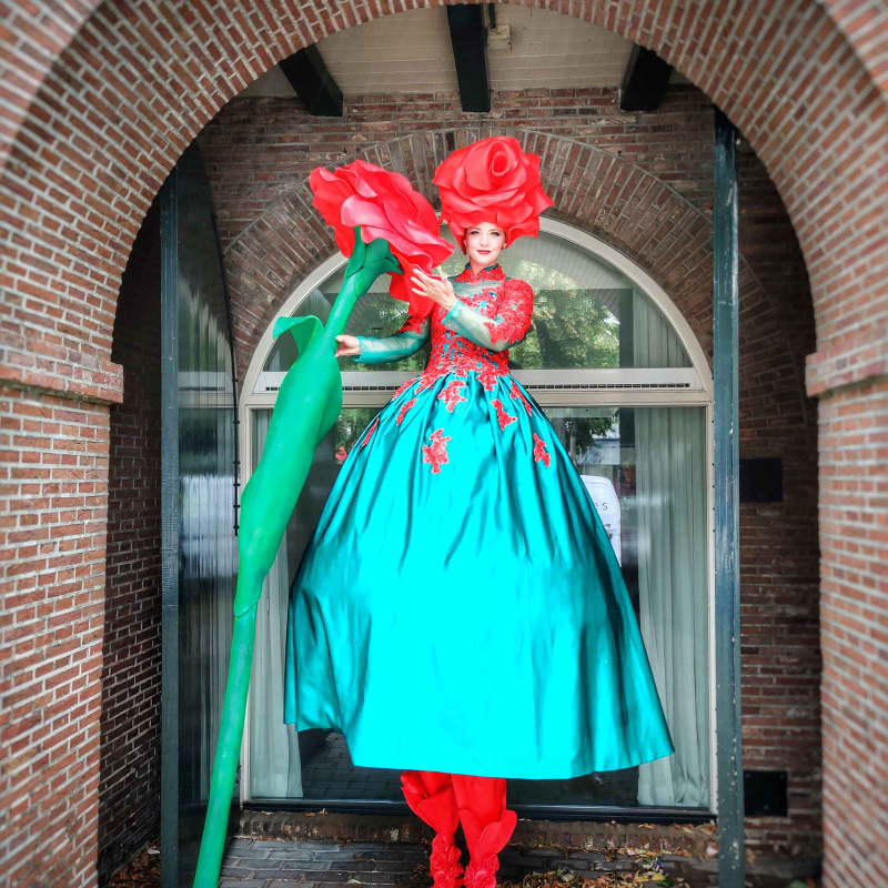 Steltenact Big Roses