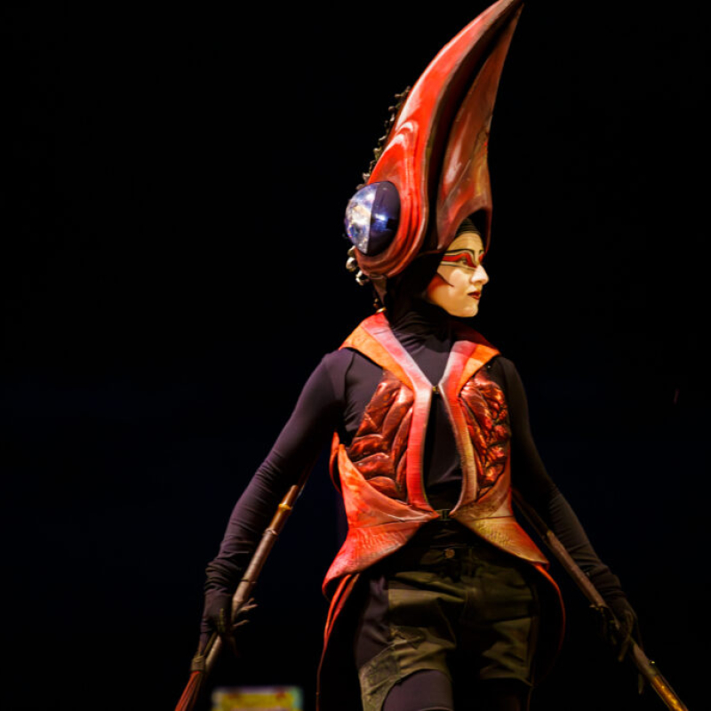 Steltenact Fenix