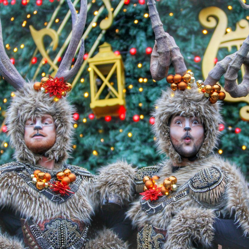 Santa's Springdieren