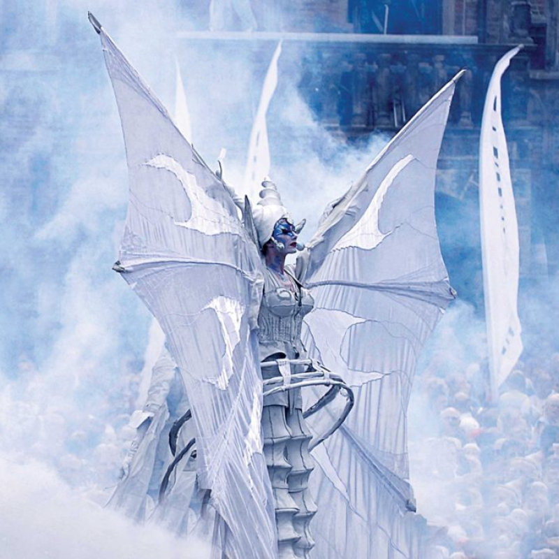 White Wings