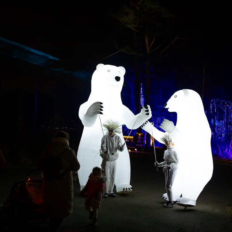 Ice Bear
