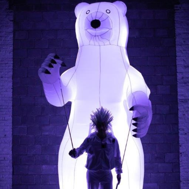 Ice Bear