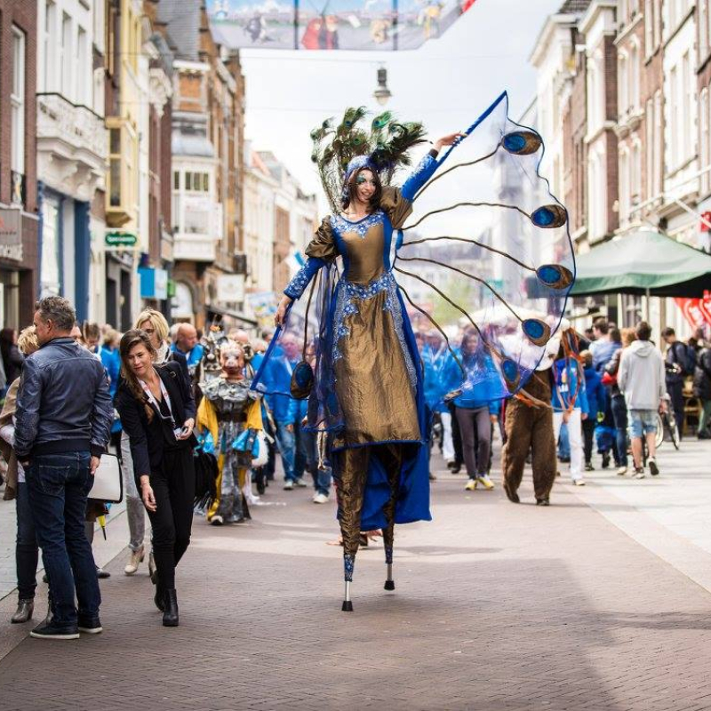 Steltenlopers Trots als een pauw