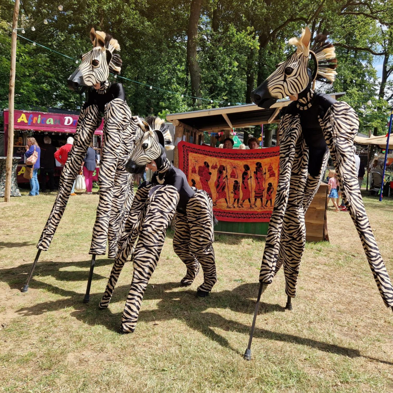 Zebra's steltenact