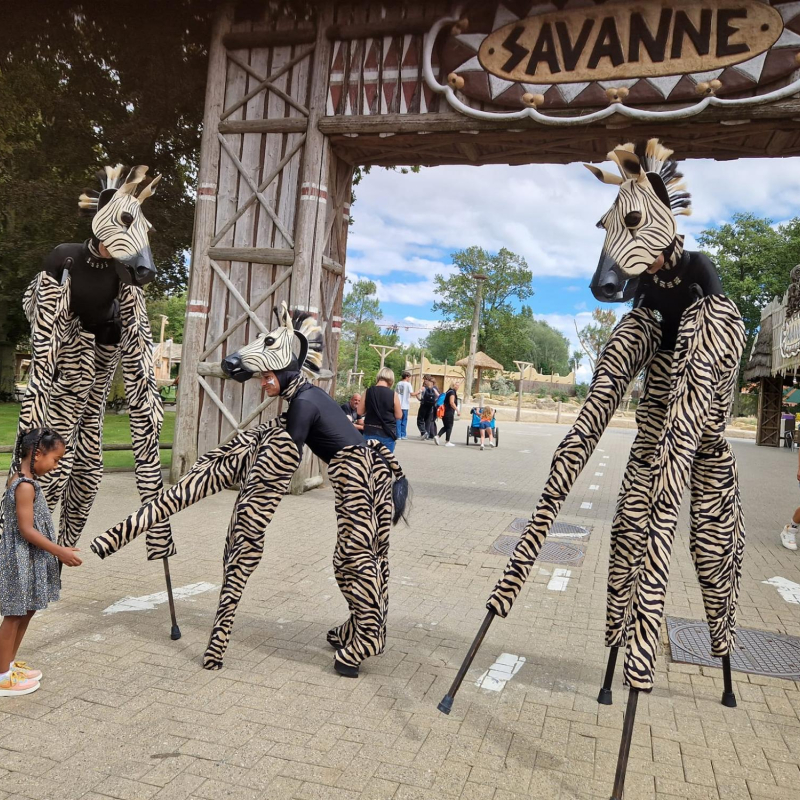 Zestfully Zebra's