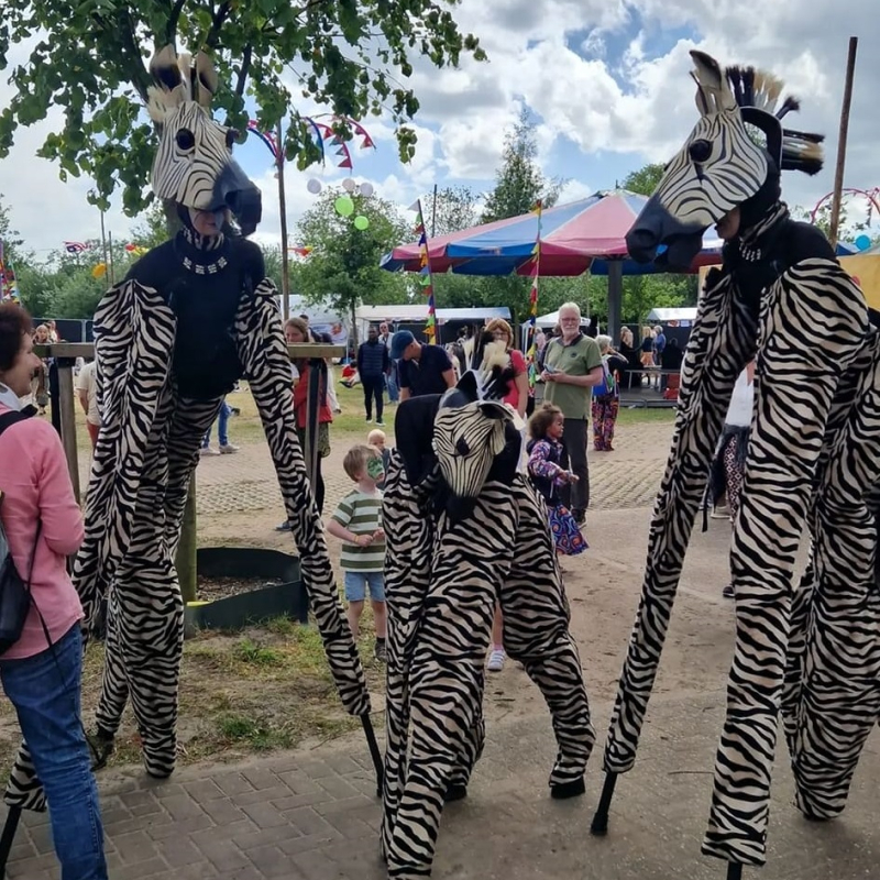 Zebra's steltenact