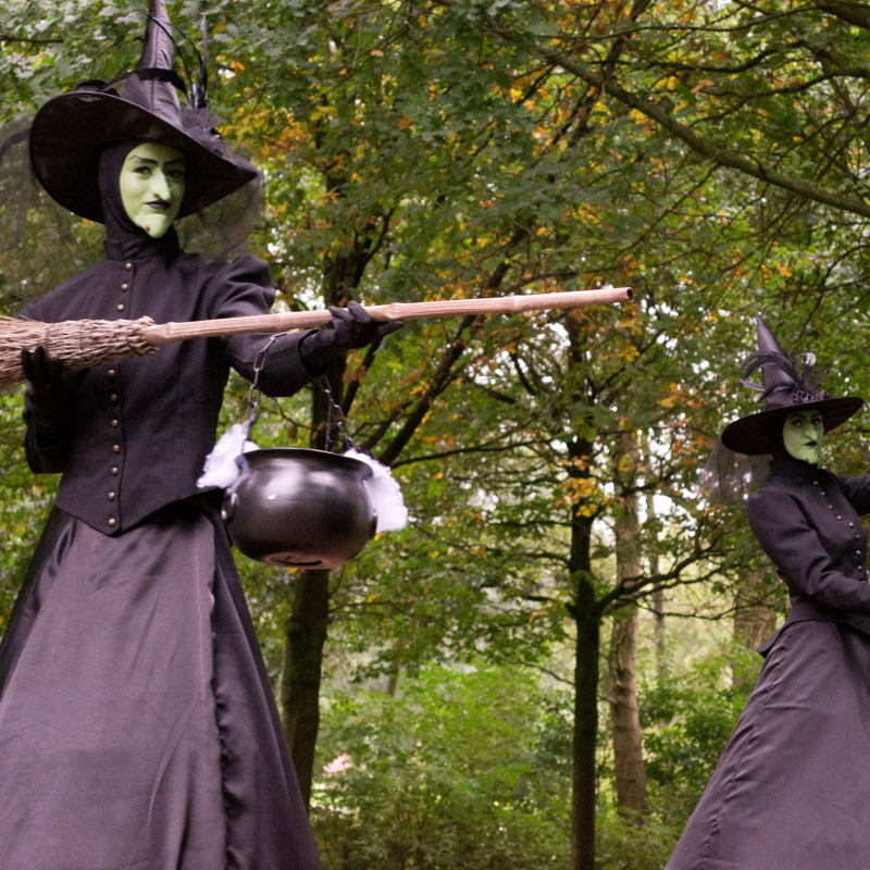 Wicked Witches