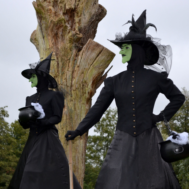 Wicked Witches