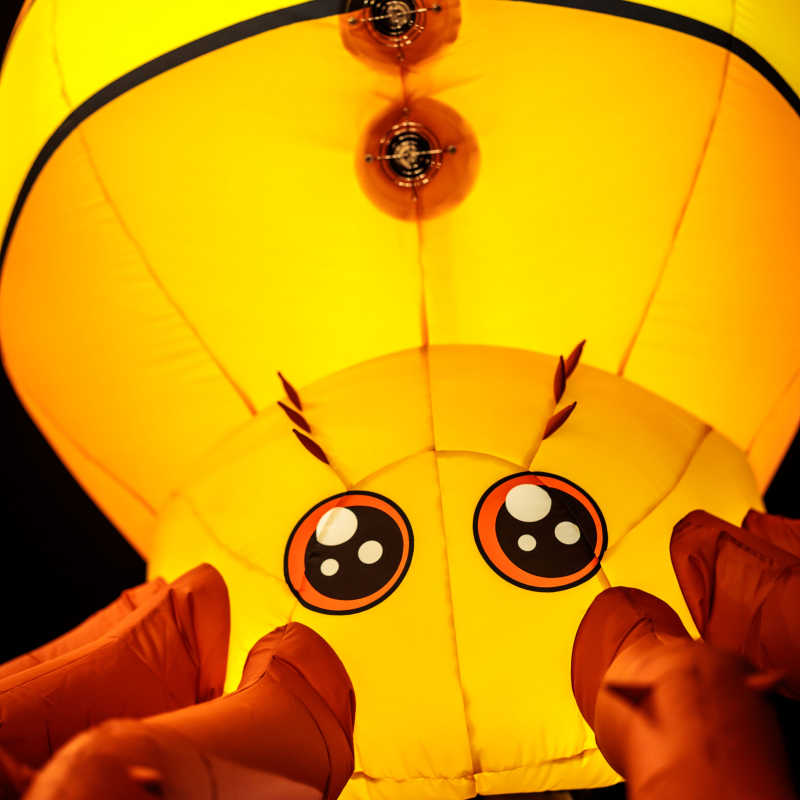 Inflatable Spin