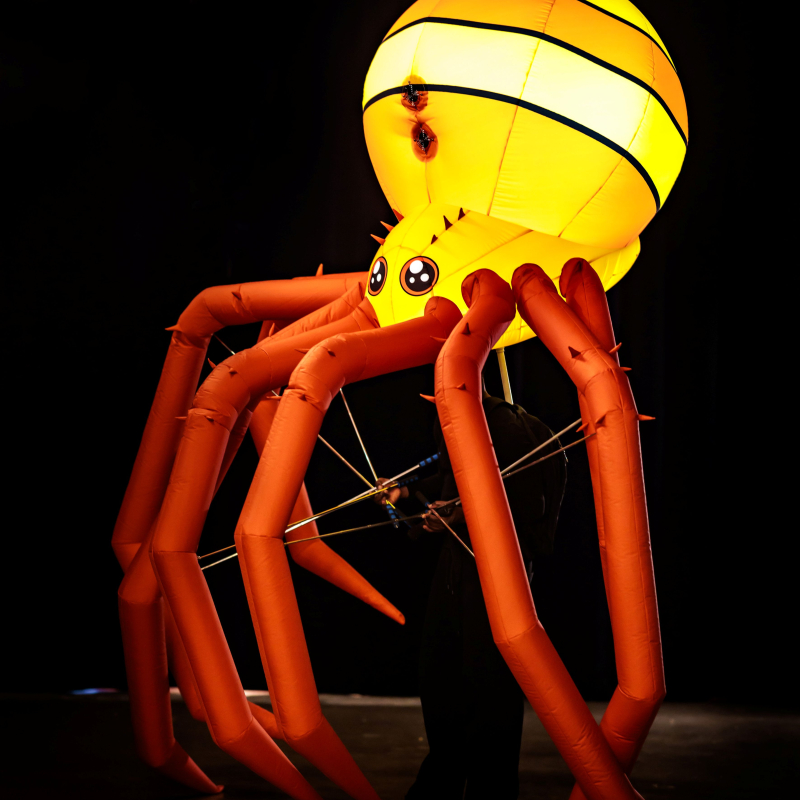 Inflatable Spin