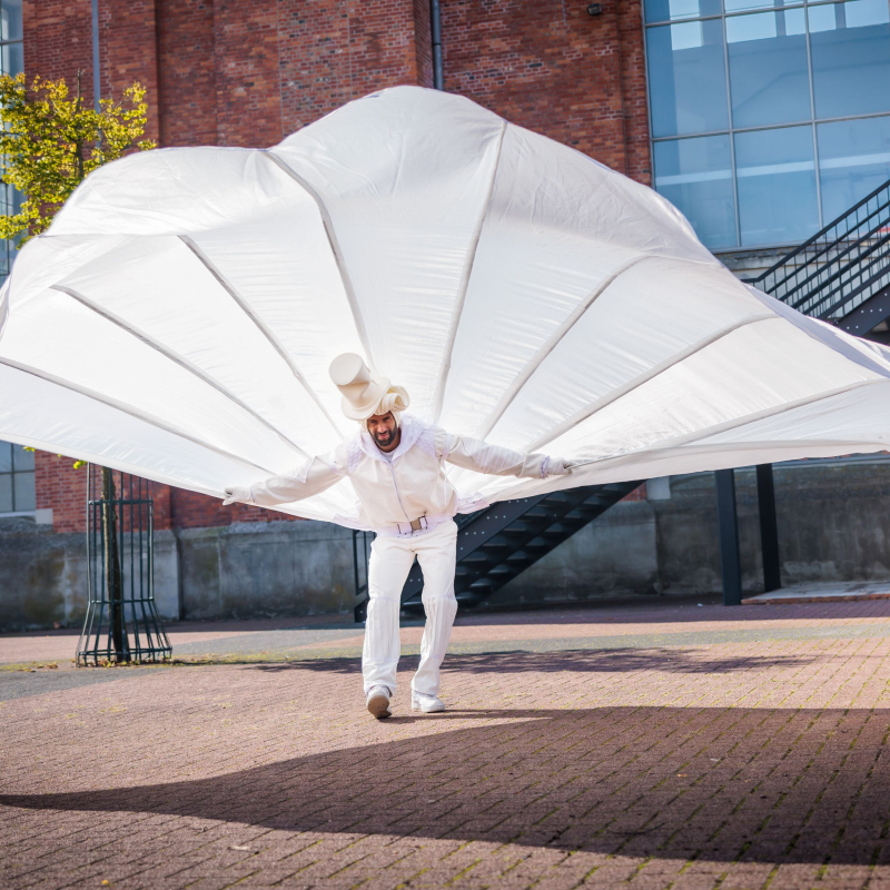 White Peacock