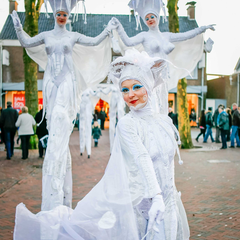 Winterdiva's