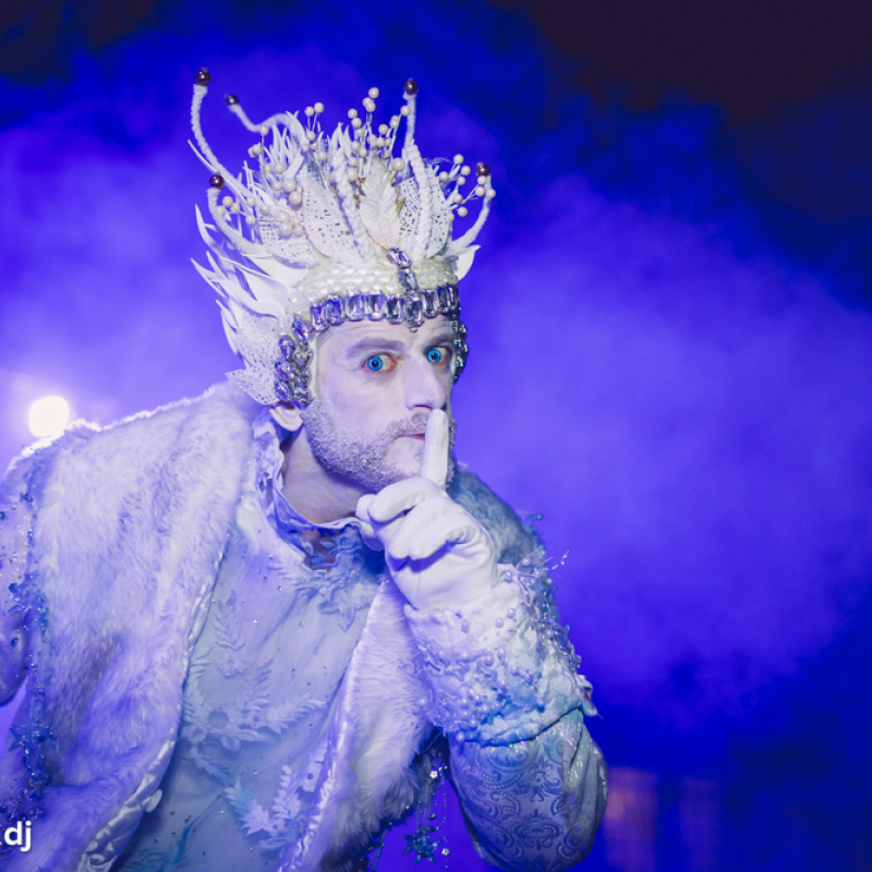 Winterkoning op stelten