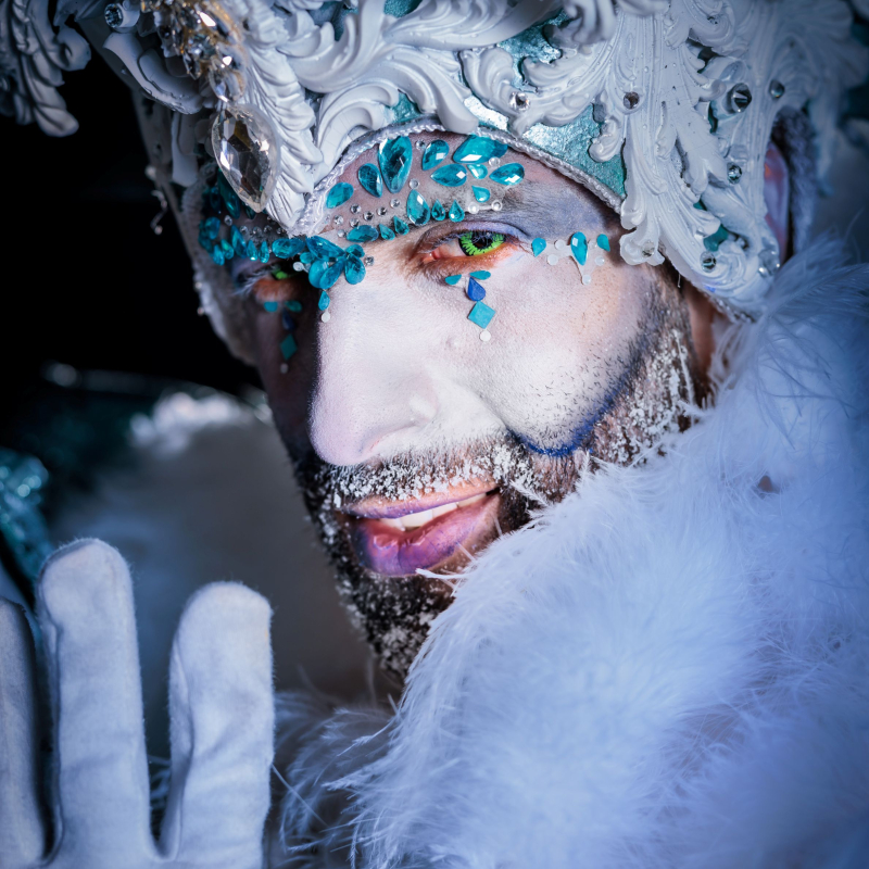 Winterkoning 2.0 op stelten