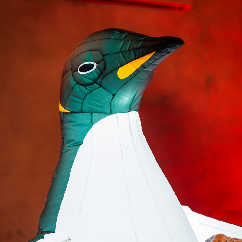 De Pinguïns
