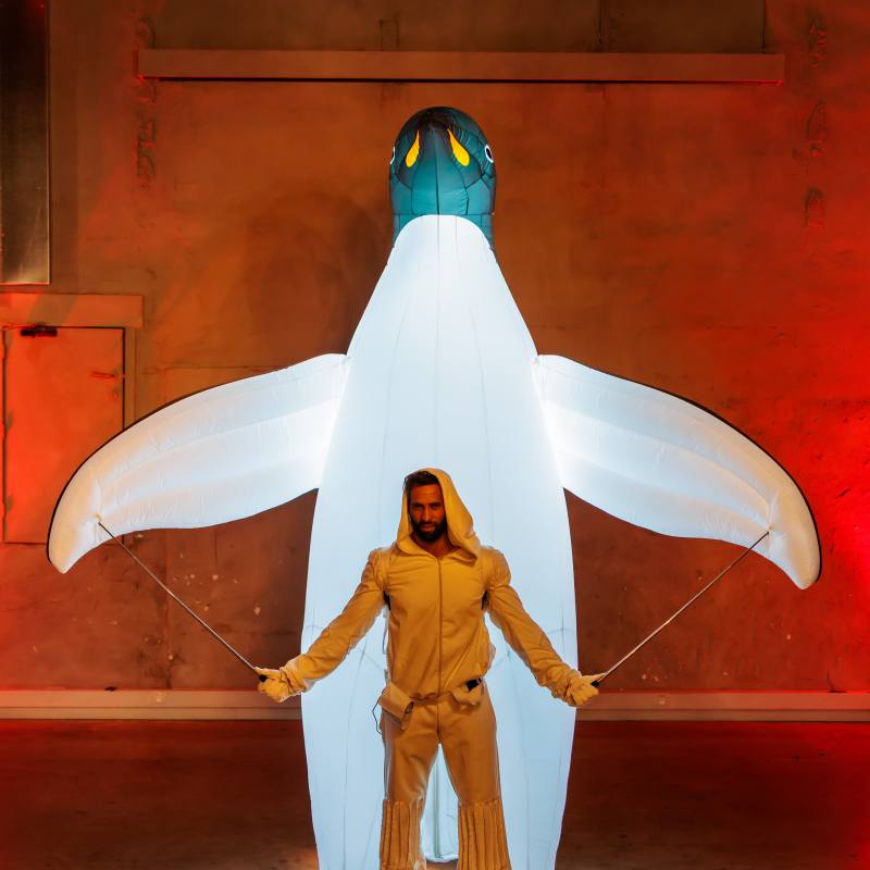 De Pinguïns