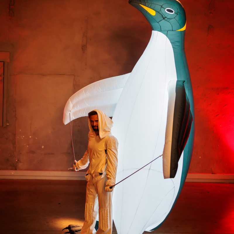 De Pinguïns