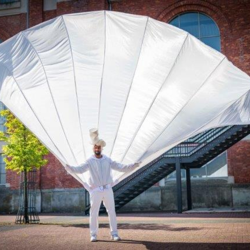 White Peacock