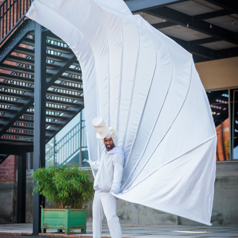 White Peacock