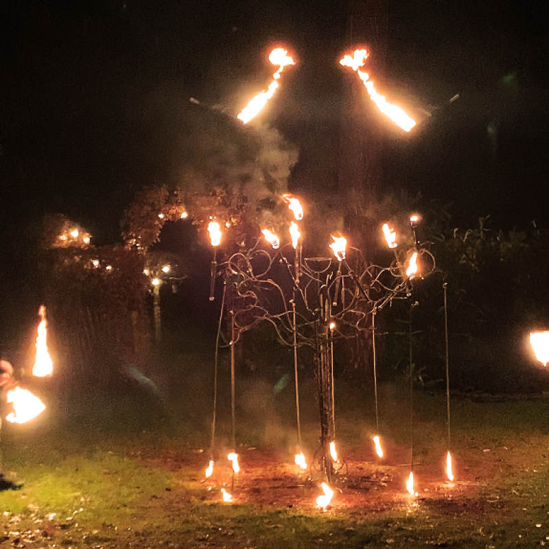 Vuuract Ignis Terra - De betovering van de vuurboom