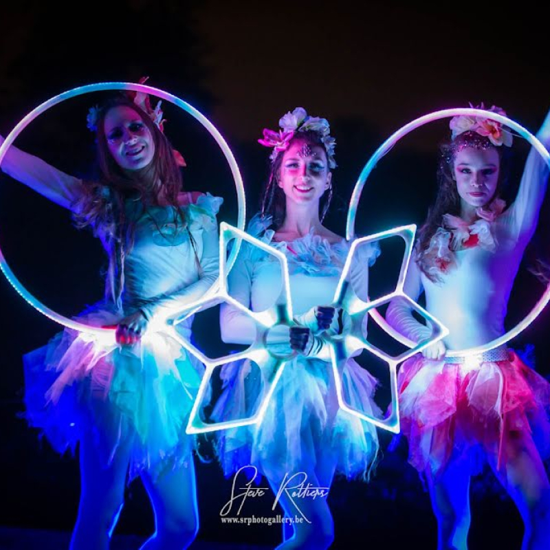 De LED Elfjes
